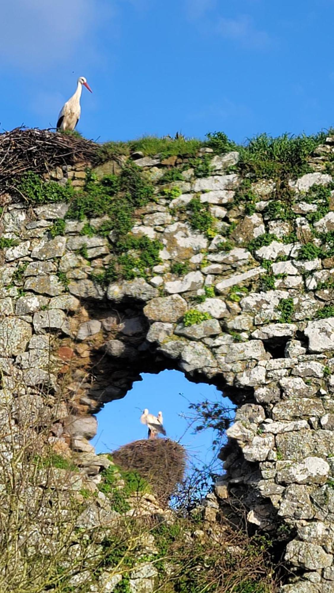 Gite Au Coeur Du Dday Brevands Buitenkant foto